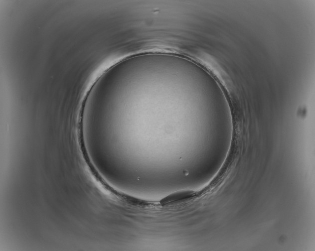 X0000097621379200802291315