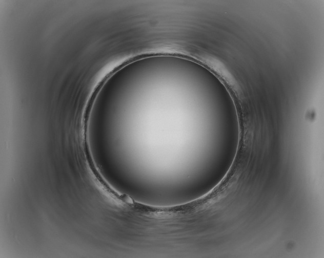 X0000097621380200802291315