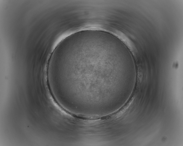 X0000097621382200802291315