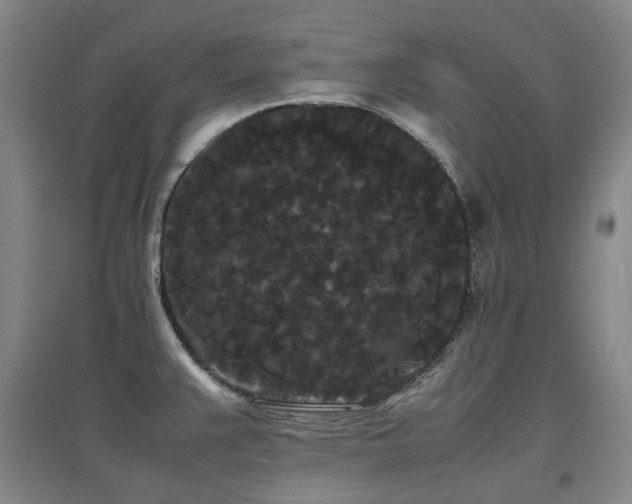 X0000097621383200802291315