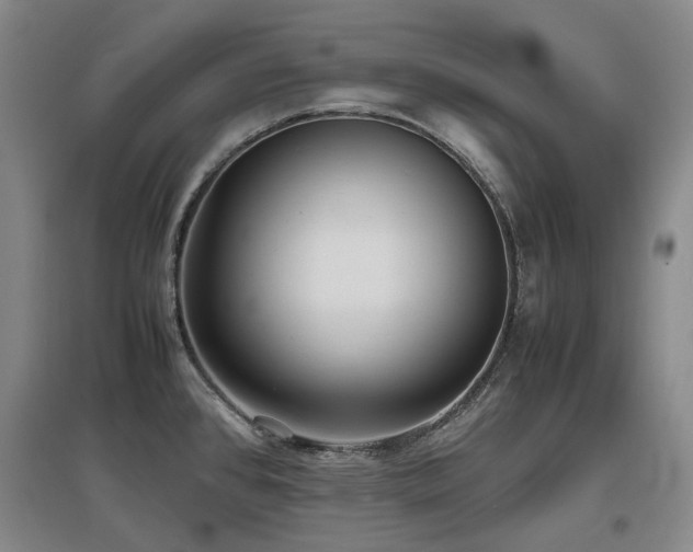 X0000097621384200802291315
