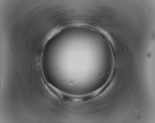 X0000097621385200802291315