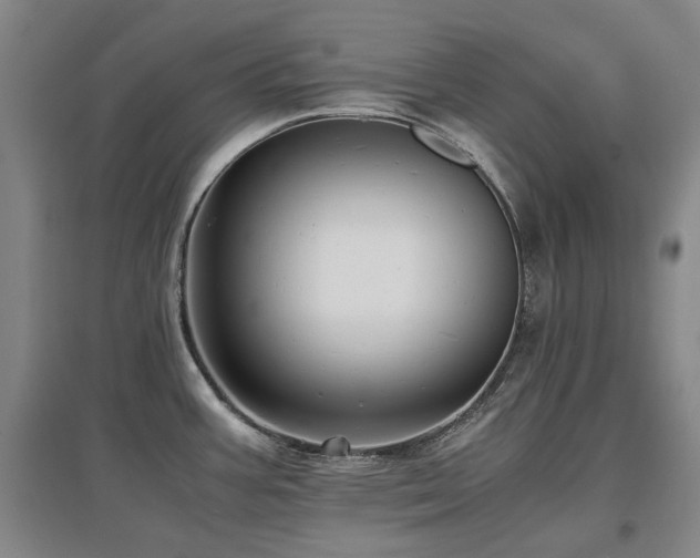 X0000097621387200802291315