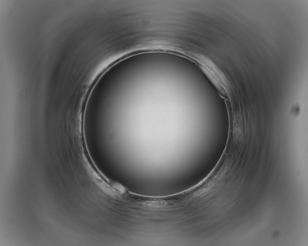 X0000097621388200802291315