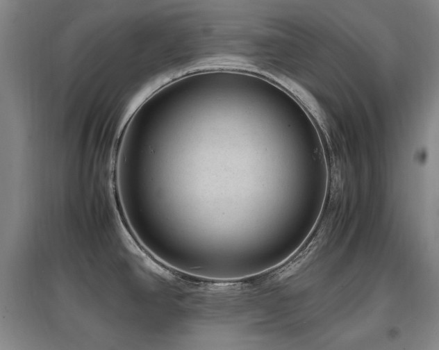 X0000097621390200802291315