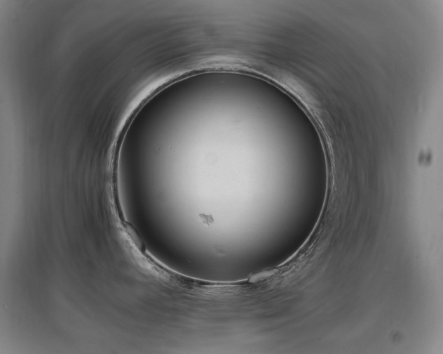 X0000097621392200802291315