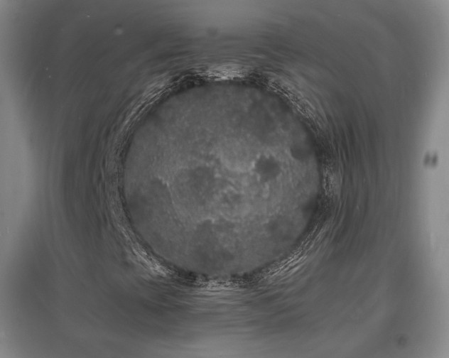 X0000097621393200802291314