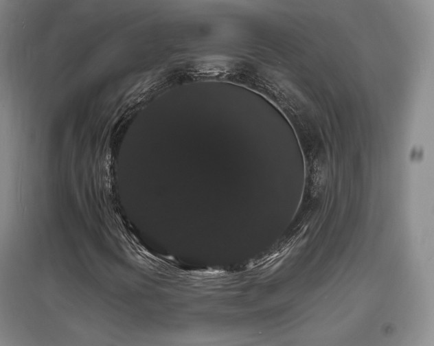 X0000097621394200802291314