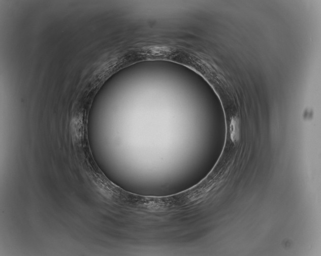 X0000097621395200802291314