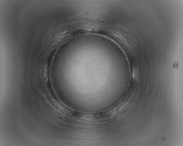 X0000097621396200802291314