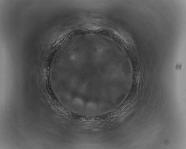 X0000097621397200802291314