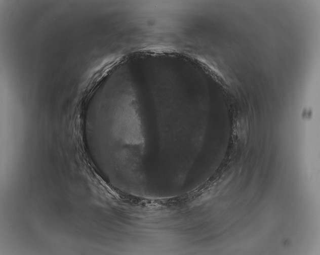 X0000097621398200802291314