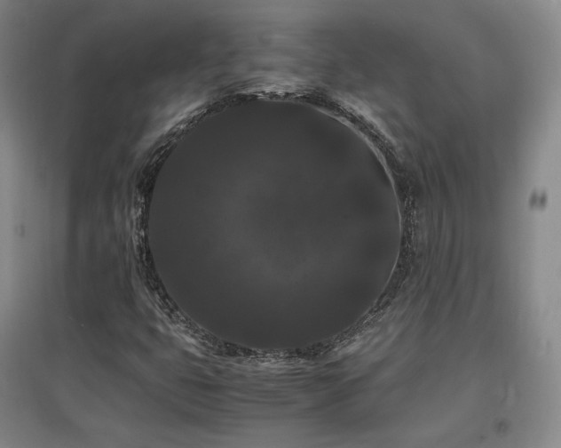 X0000097621399200802291314