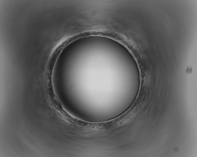 X0000097621400200802291314