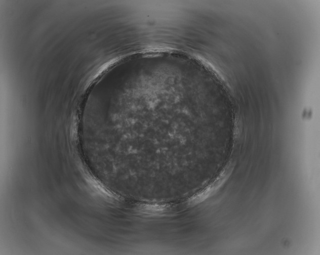 X0000097621401200802291314