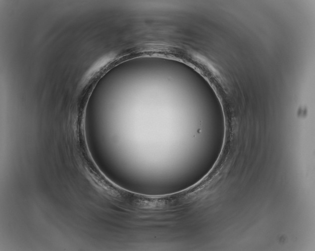 X0000097621403200802291314