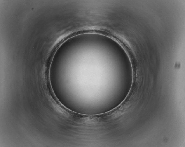 X0000097621404200802291314