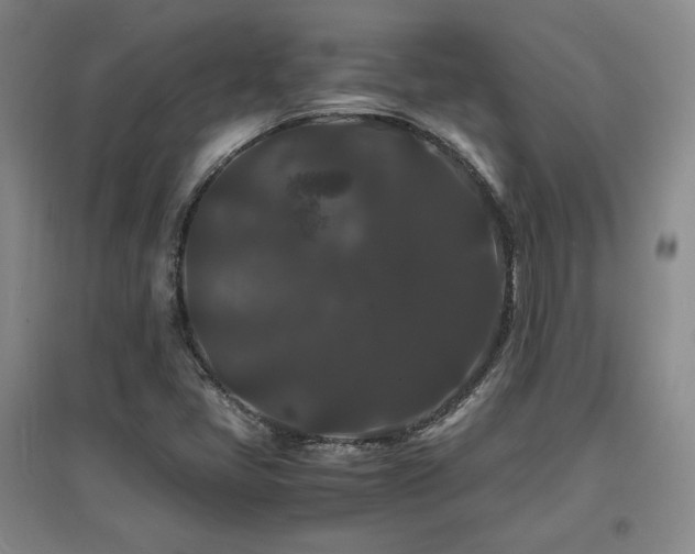 X0000097621405200802291314