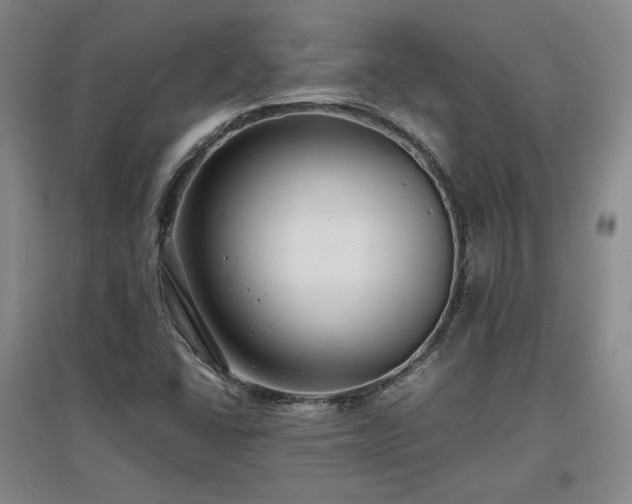 X0000097621406200802291314