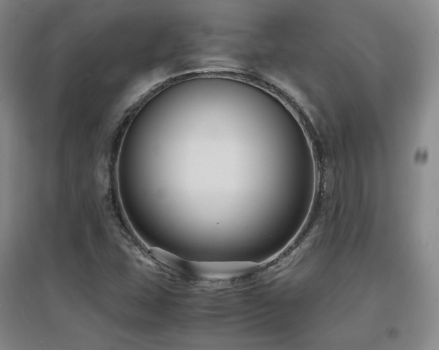X0000097621407200802291314