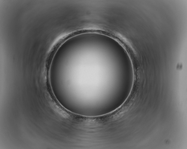 X0000097621408200802291314