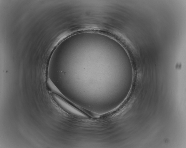 X0000097621409200802291314