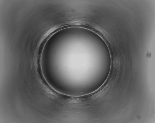 X0000097621410200802291314