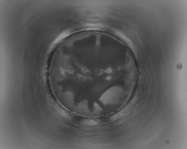X0000097621411200802291315