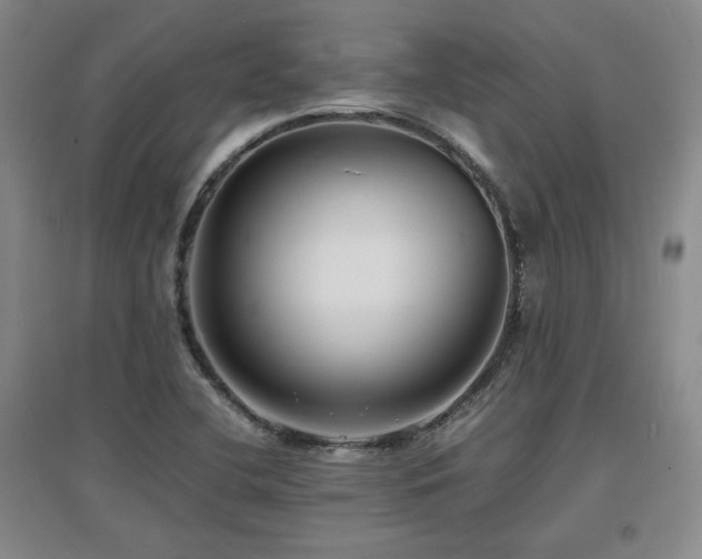 X0000097621412200802291315