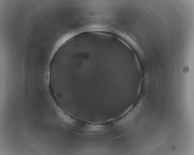 X0000097621413200802291315