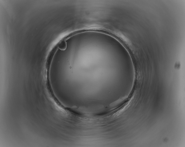 X0000097621414200802291315