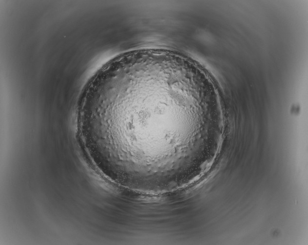 X0000097621415200802291315