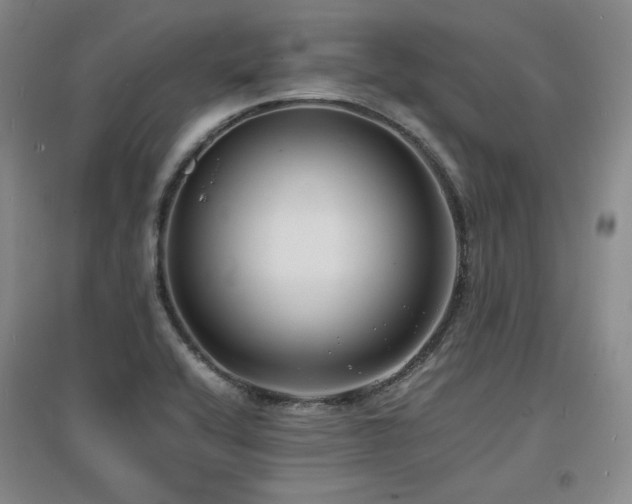 X0000097621416200802291315