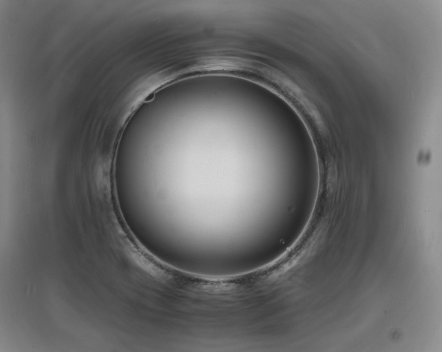X0000097621417200802291315