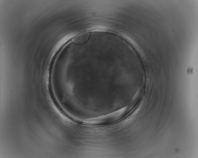 X0000097621418200802291315