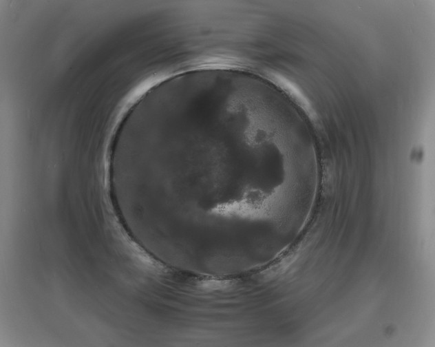 X0000097621419200802291315