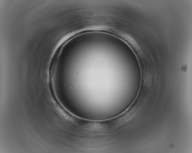 X0000097621420200802291315