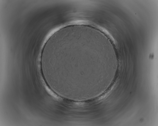 X0000097621421200802291315
