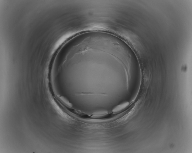 X0000097621422200802291315