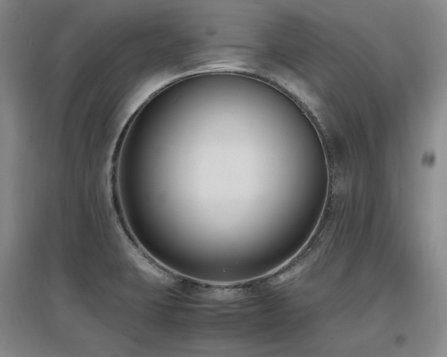 X0000097621423200802291315