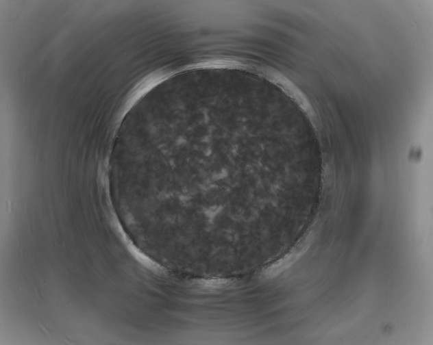 X0000097621425200802291315