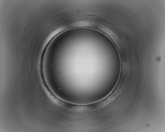 X0000097621426200802291315