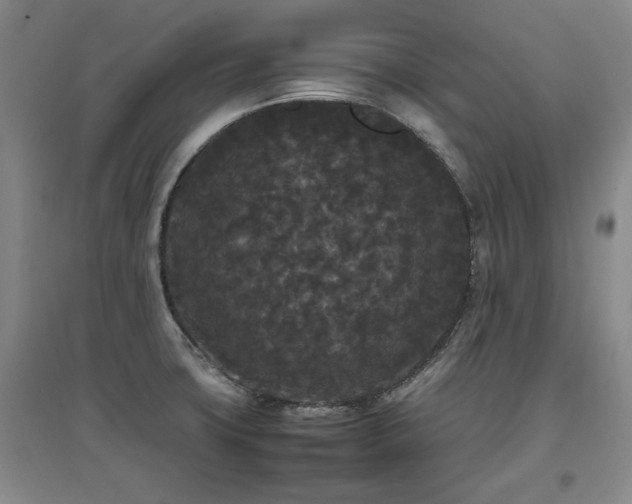 X0000097621427200802291315