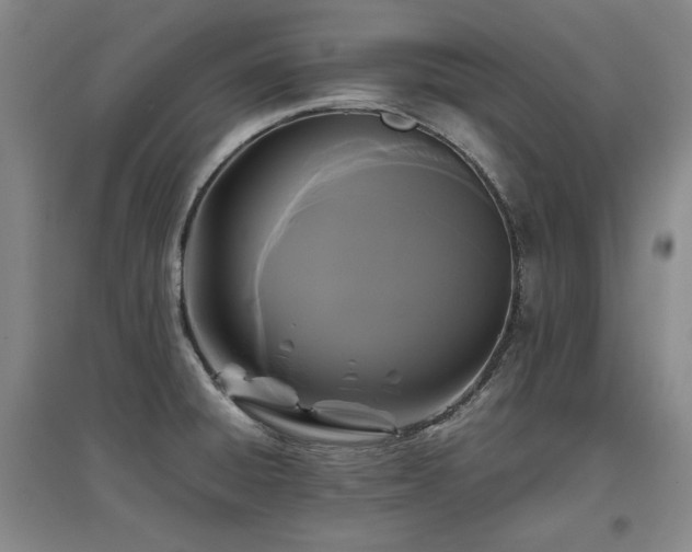 X0000097621428200802291315
