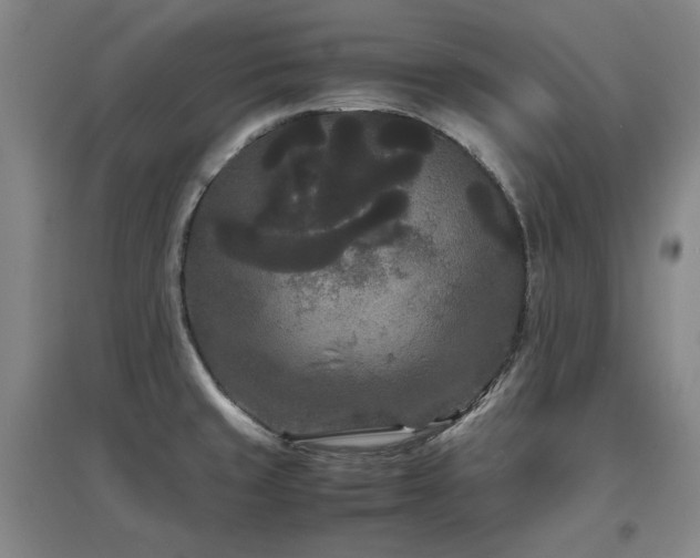 X0000097621429200802291315