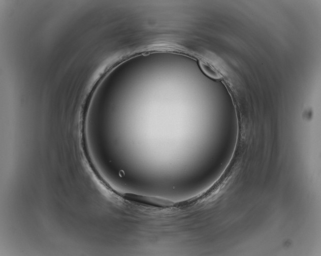 X0000097621430200802291315