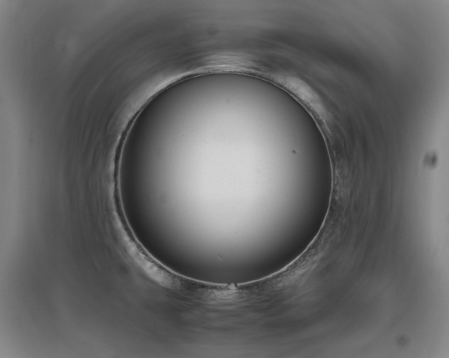 X0000097621431200802291315