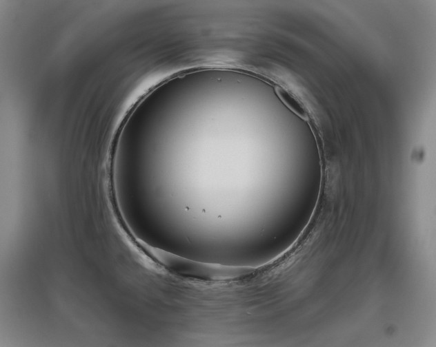 X0000097621432200802291315