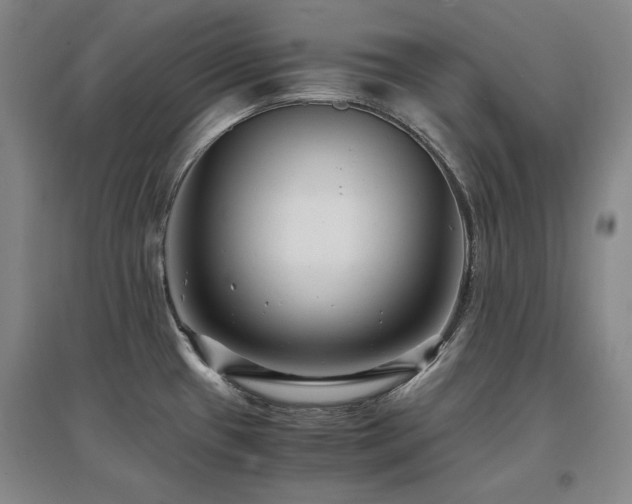 X0000097621433200802291315