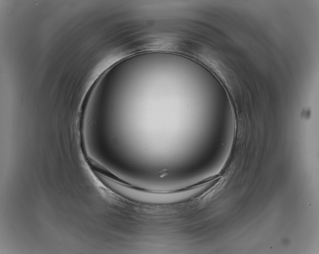 X0000097621434200802291315